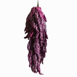 Collana di Peperoni Cruschi...